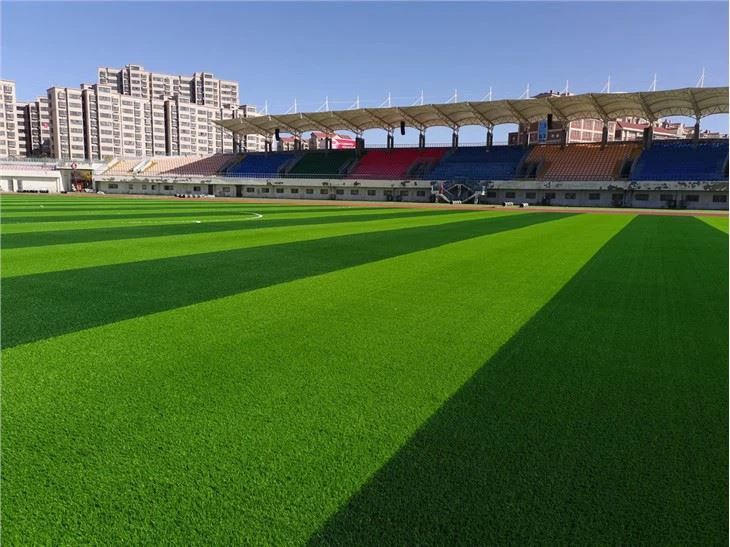 footballgrass02_